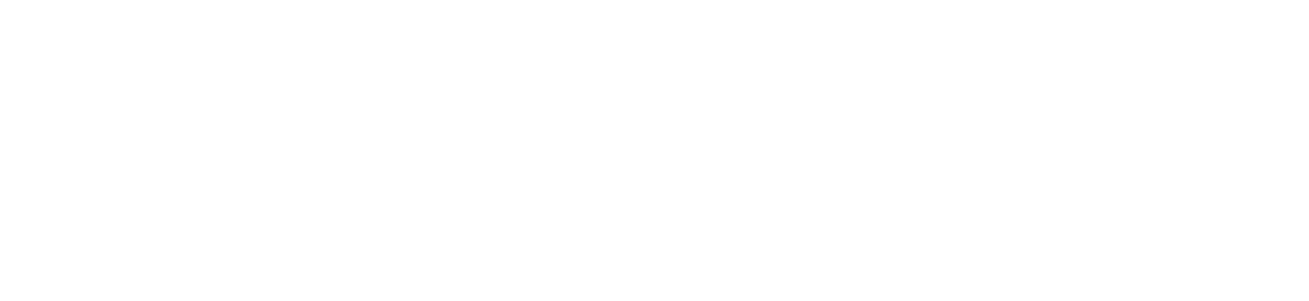 Danner & Seidler Logo invertiert